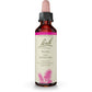 Bach Original Flower Remedy Pine 20ml