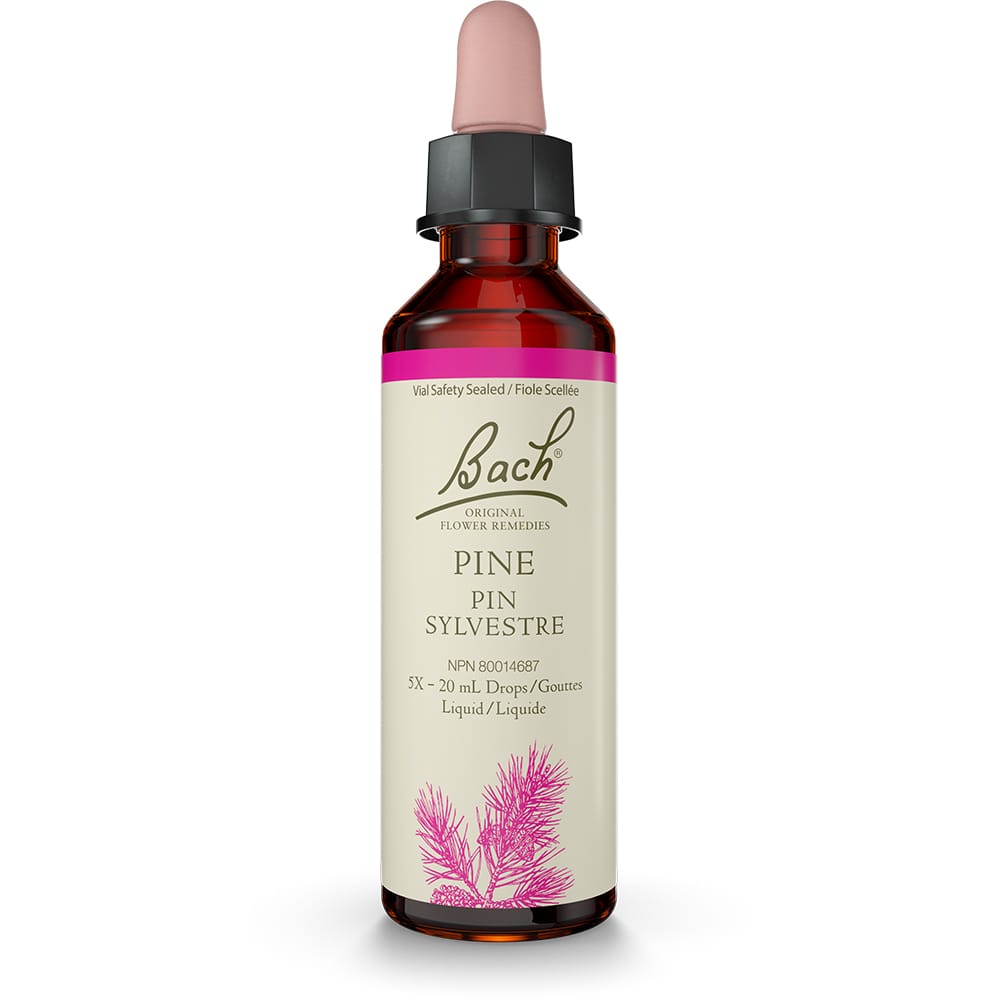 Bach Original Flower Remedy Pine 20ml
