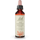 Bach Original Flower Remedy Red Chestnut 20ml