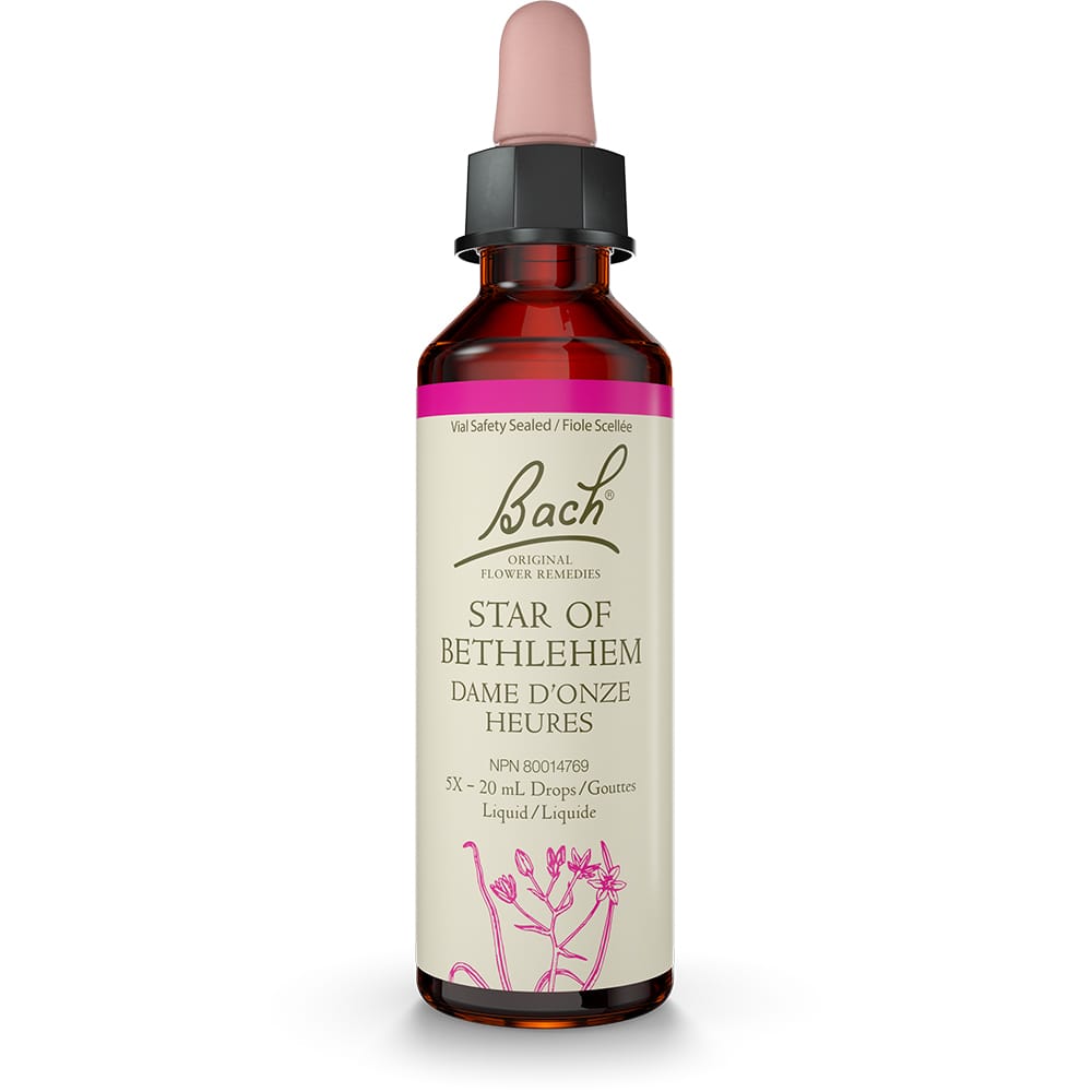 Bach Original Flower Remedy Star of Bethlehem 20ml