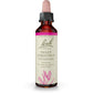 Bach Original Flower Remedy Sweet Chestnut 20ml