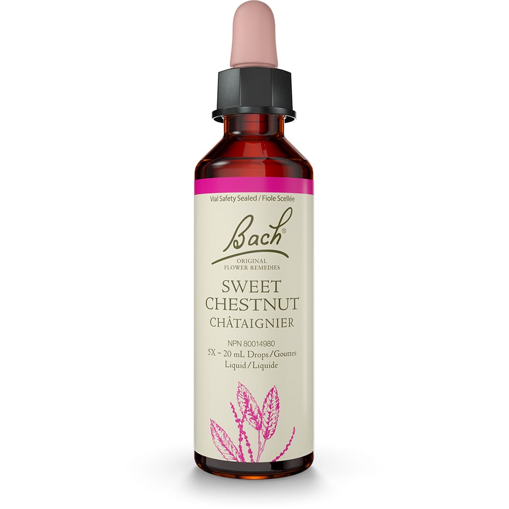 Bach Original Flower Remedy Sweet Chestnut 20ml