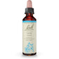 Bach Original Flower Remedy Vine 20ml