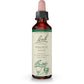 Bach Original Flower Remedy Walnut 20ml