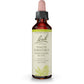 Bach Original Flower Remedy White Chestnut 20ml