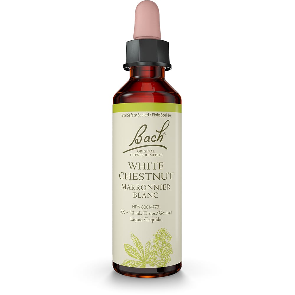 Bach Original Flower Remedy White Chestnut 20ml