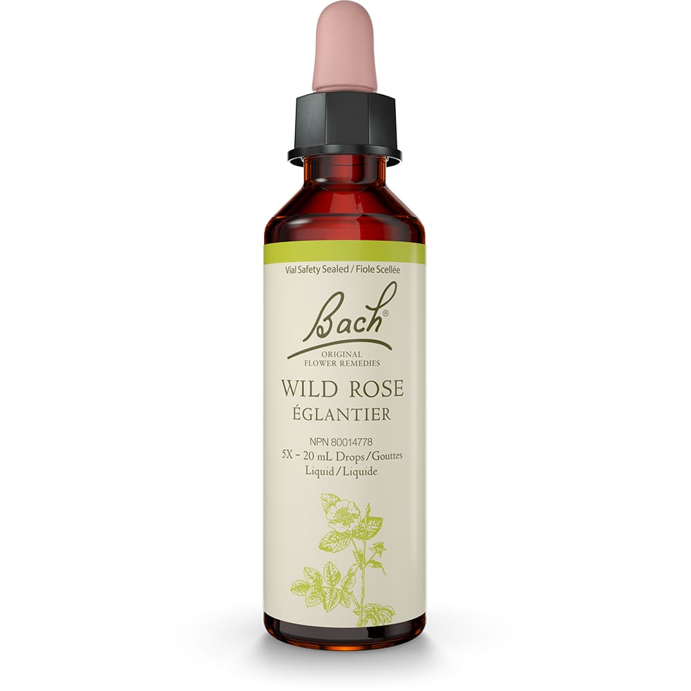 Bach Original Flower Remedy Wild Rose 20ml