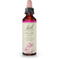 Bach Original Flower Remedy Willow 20ml