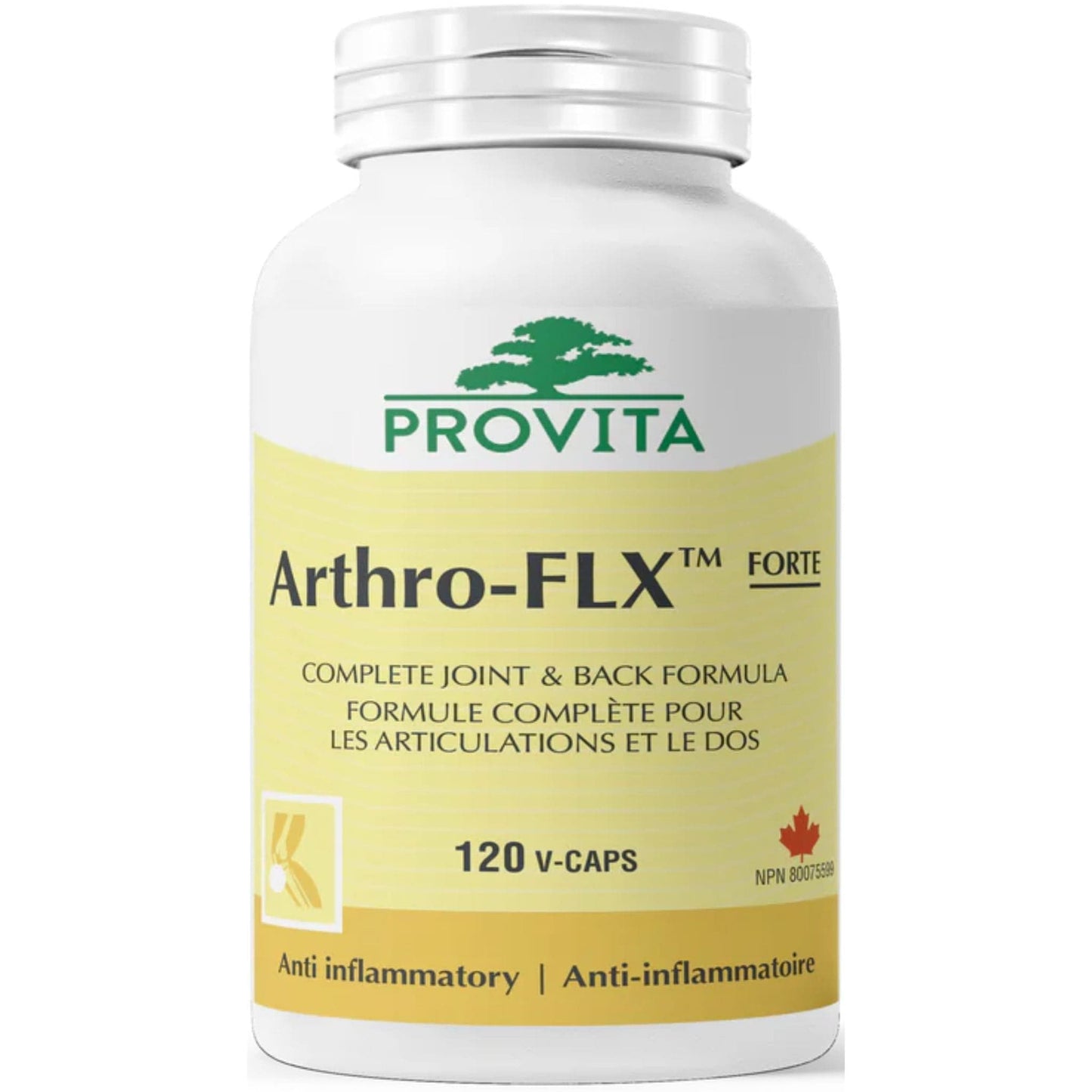 120 Vegetable Capsules | Provita Nutrition Arthro-FLX Forte