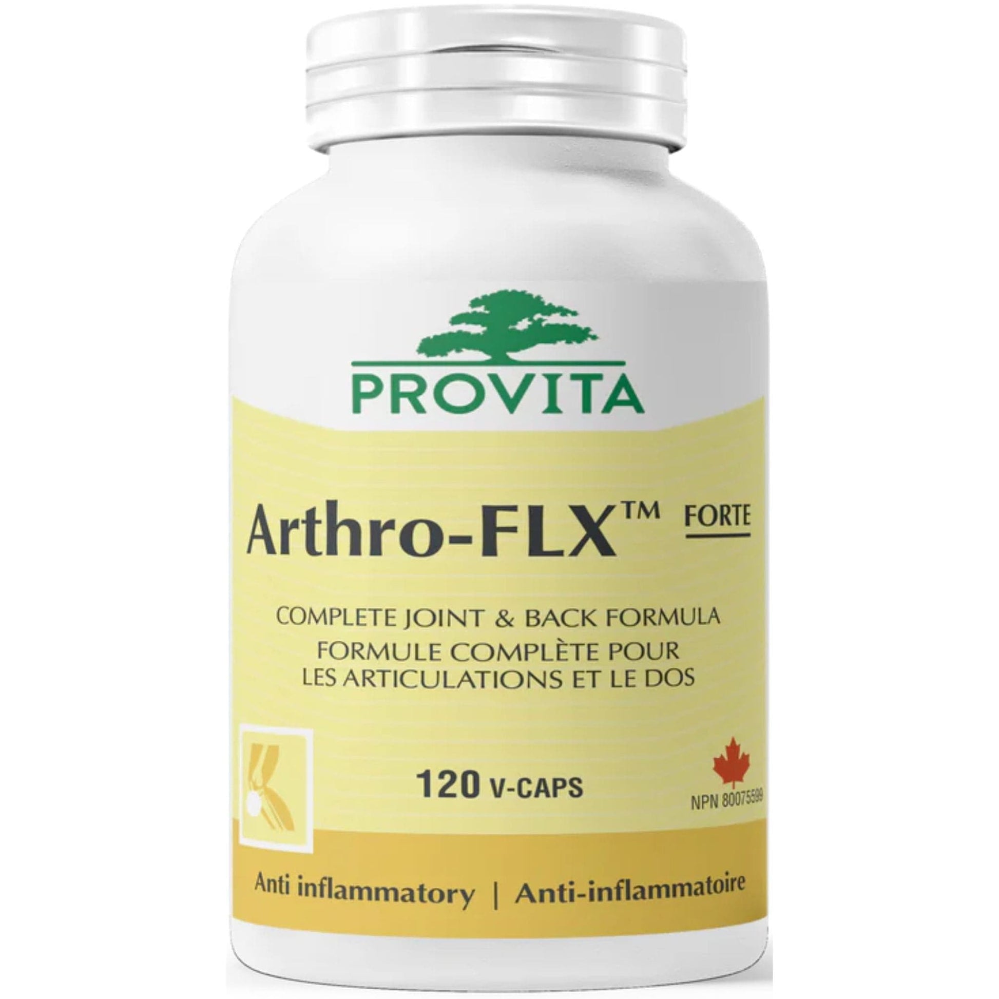 120 Vegetable Capsules | Provita Nutrition Arthro-FLX Forte