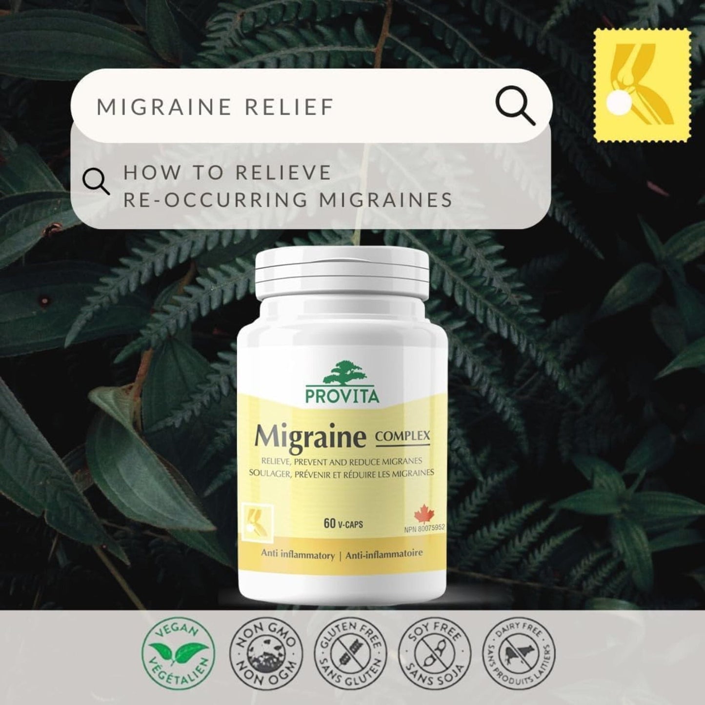 60 Vegetable Capsules | Provita Nutrition Migraine Complex
