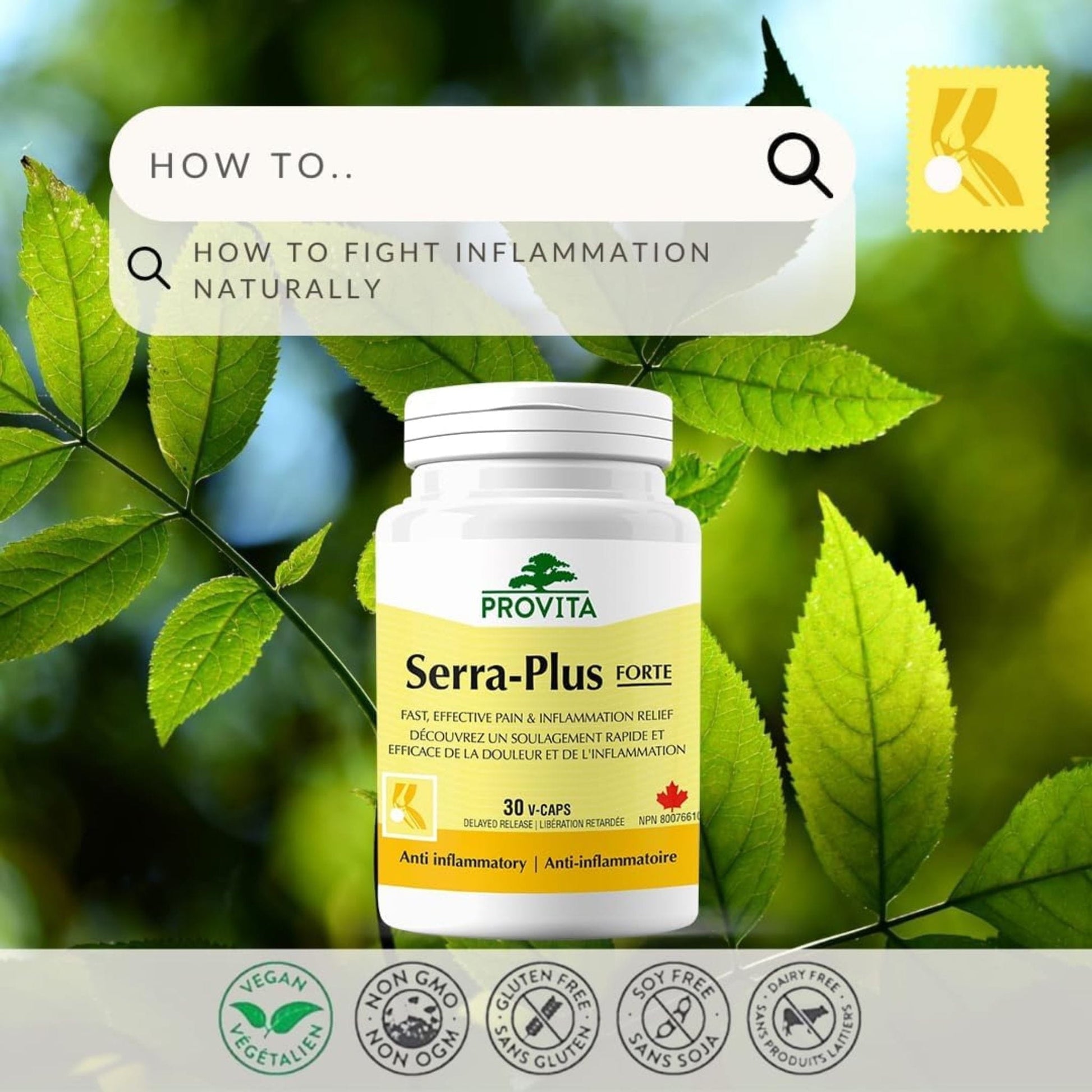 30 Vegetable Capsules | Provita Nutrition Serra-Plus Forte