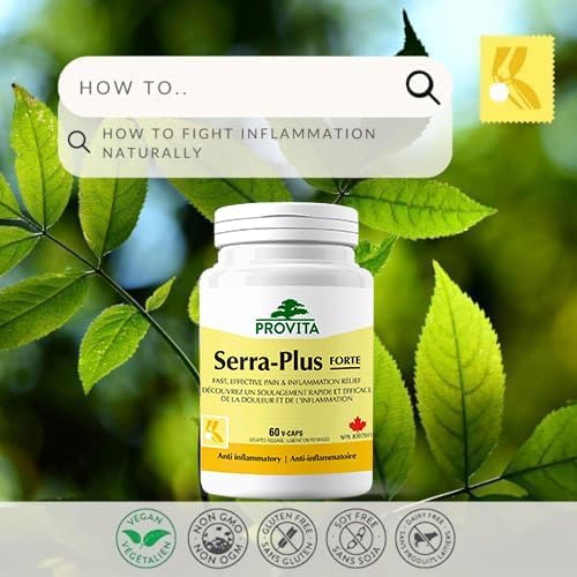 60 Vegetable Capsules | Provita Nutrition Serra-Plus Forte