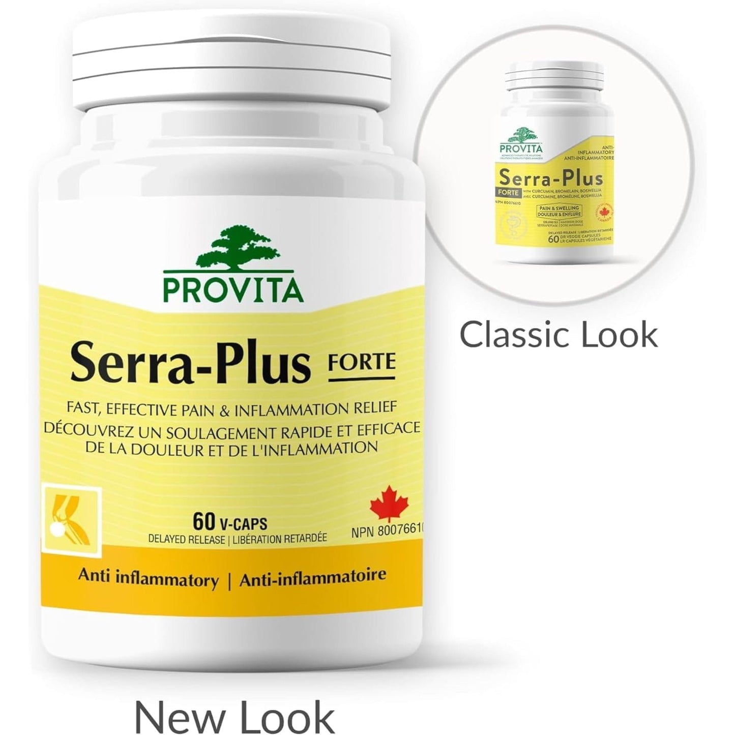 60 Vegetable Capsules | Provita Nutrition Serra-Plus Forte