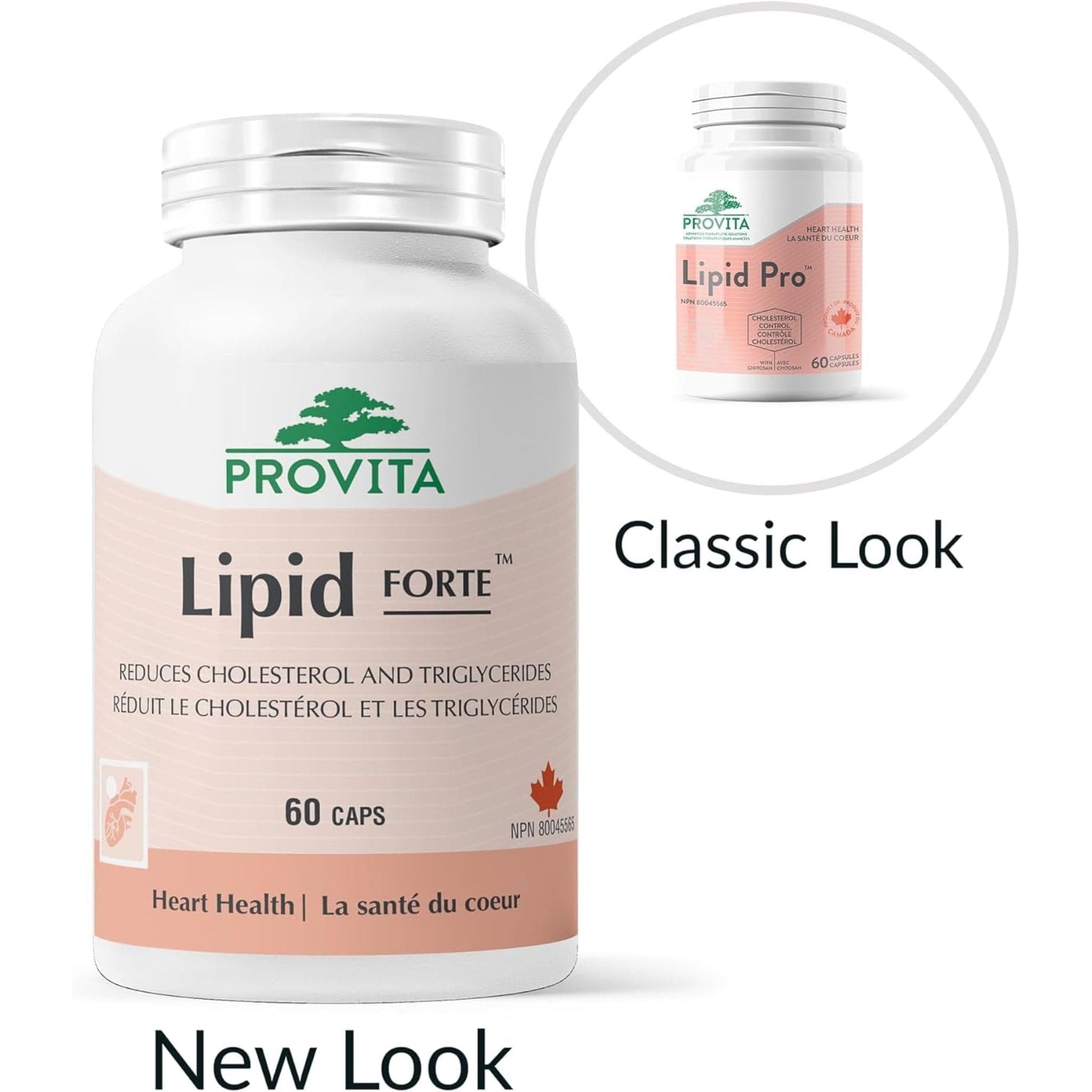 60 Capsules | Provita Nutrition Lipid Forte