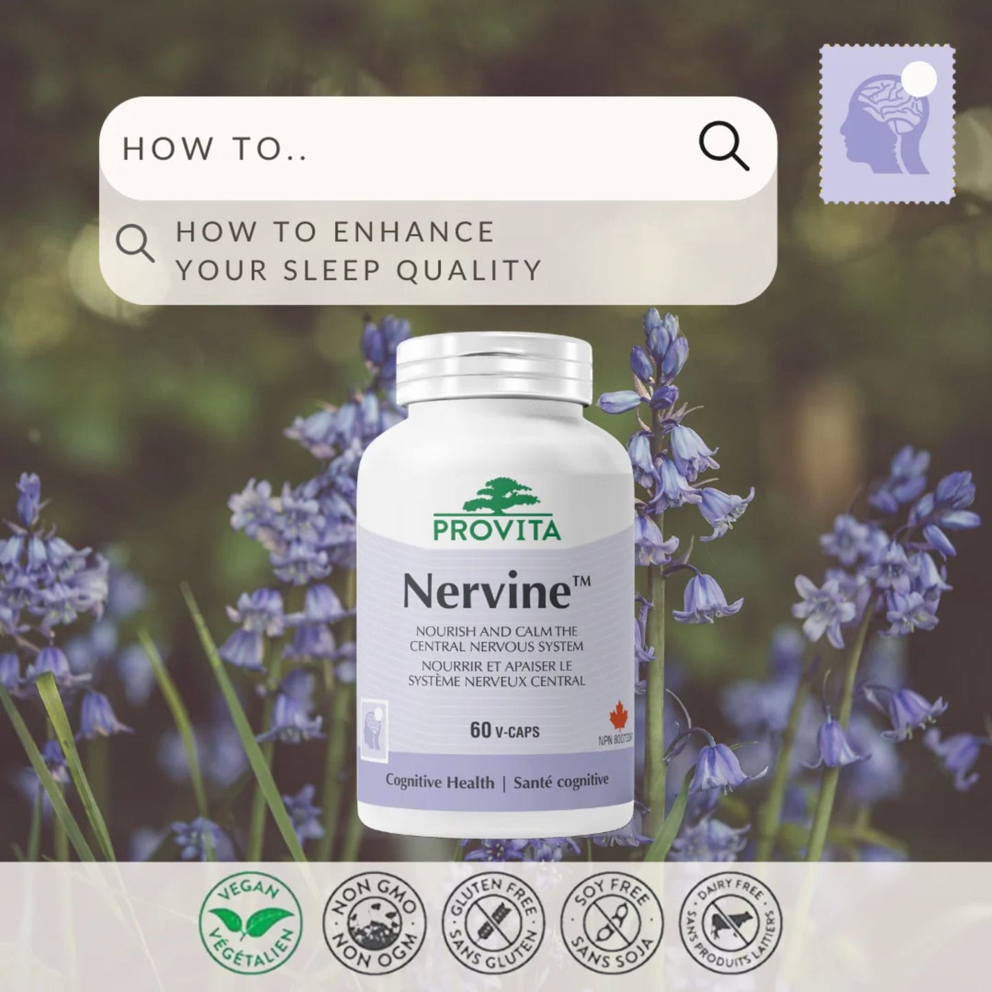 60 Vegetable Capsules | Provita Nutrition Nervine