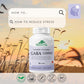 60 Vegetable Capsules | Provita Nutrition Synergistic GABA Complex