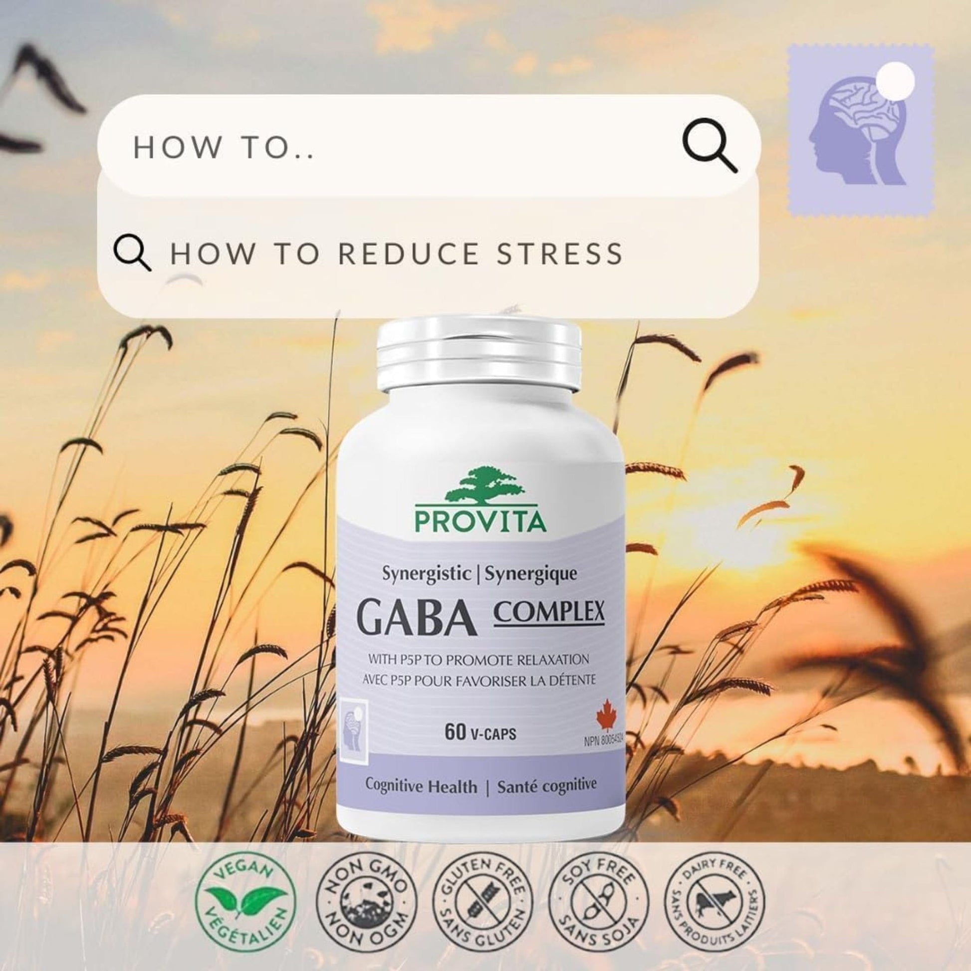 60 Vegetable Capsules | Provita Nutrition Synergistic GABA Complex
