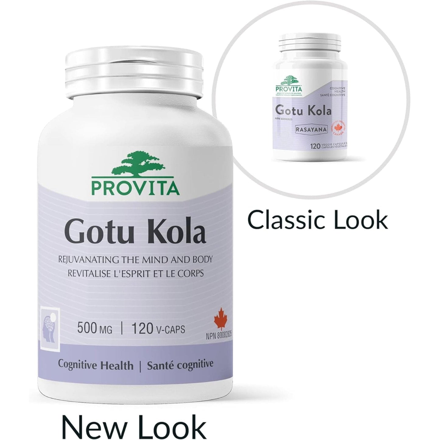 120 Vegetable Capsules | Provita Nutrition Gotu Kola 500 mg