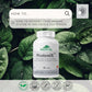 60 Vegetable Capsules | Provita Nutrition ProteniX