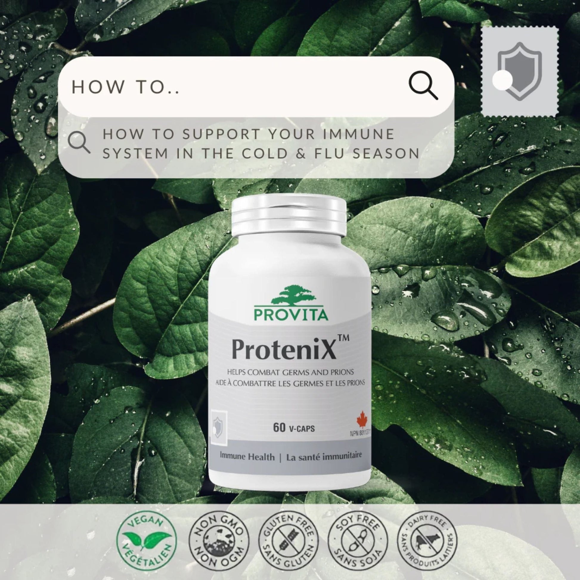 60 Vegetable Capsules | Provita Nutrition ProteniX