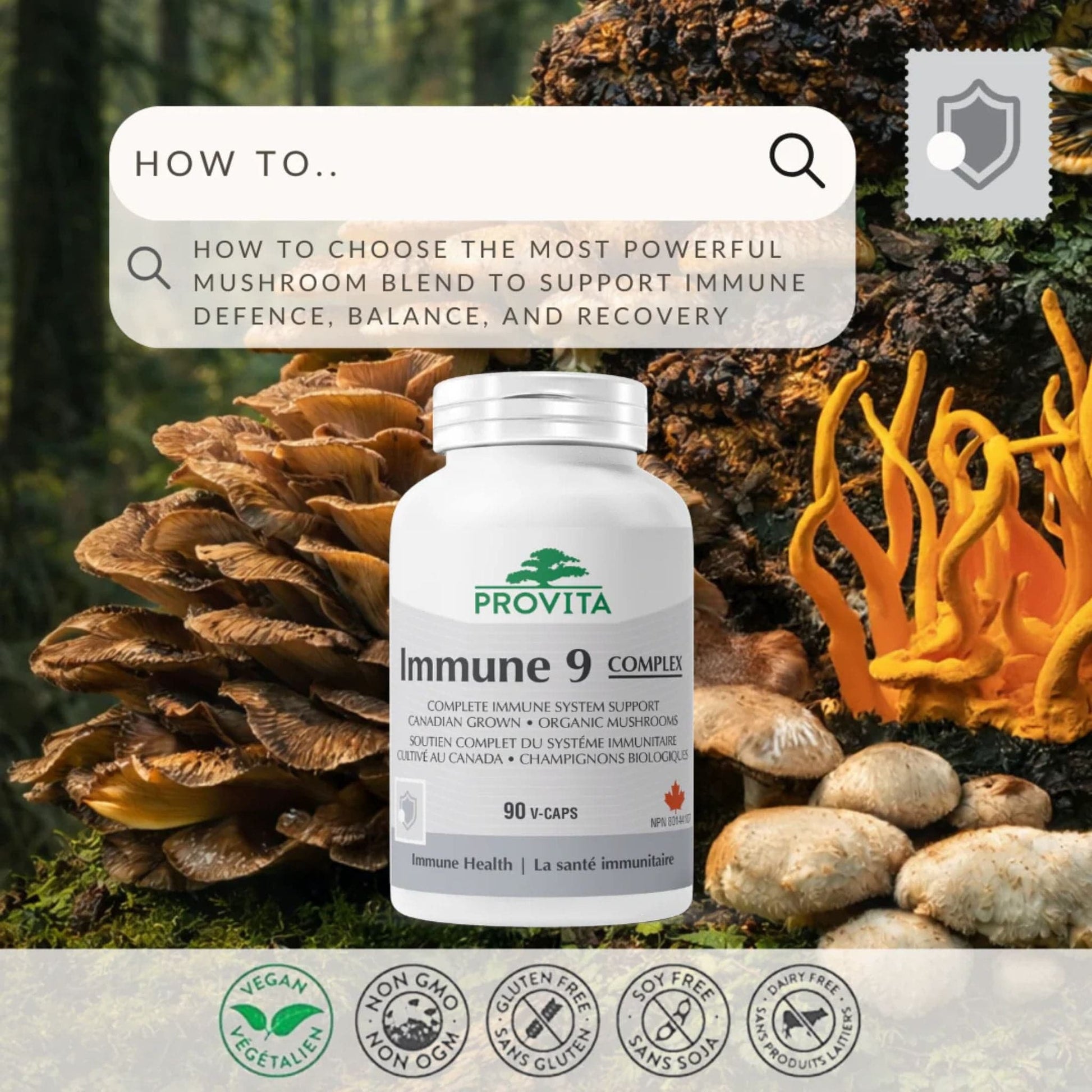 90 Vegetable Capsules | Provita Immune 9 Complex
