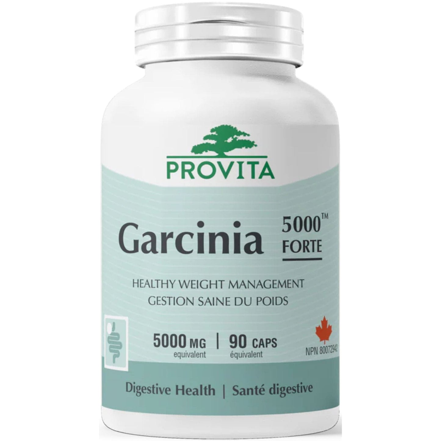 90 Capsules | Provita Nutrition Garcinia 5000 Forte
