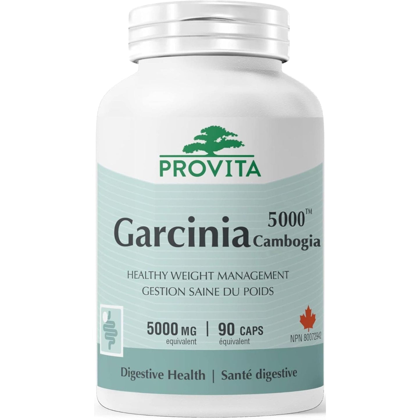 90 Capsules | Provita Nutrition Garcinia 5000 Forte