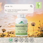 90 Vegetable Capsules | Provita Nutrition Magnesium Complex
