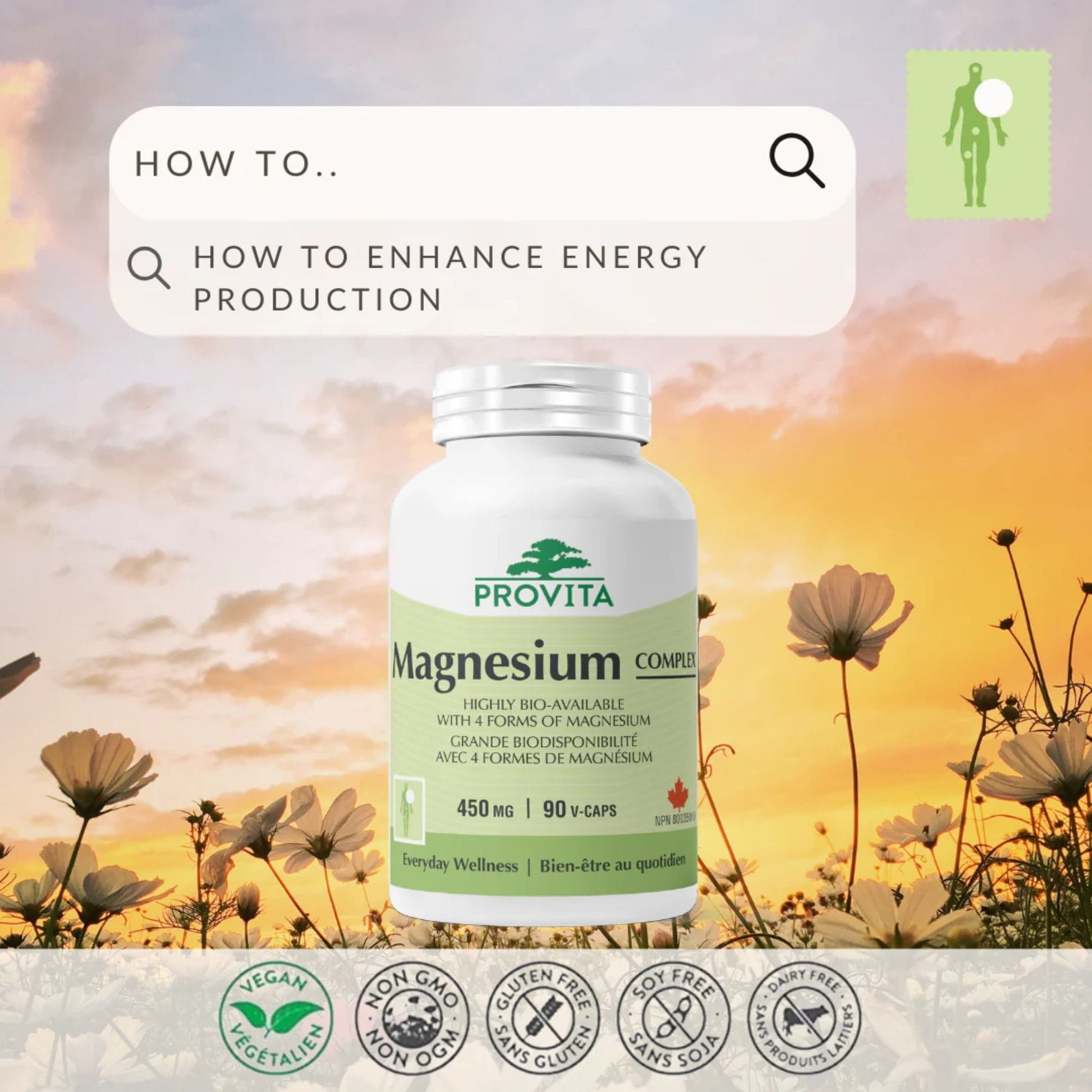 90 Vegetable Capsules | Provita Nutrition Magnesium Complex