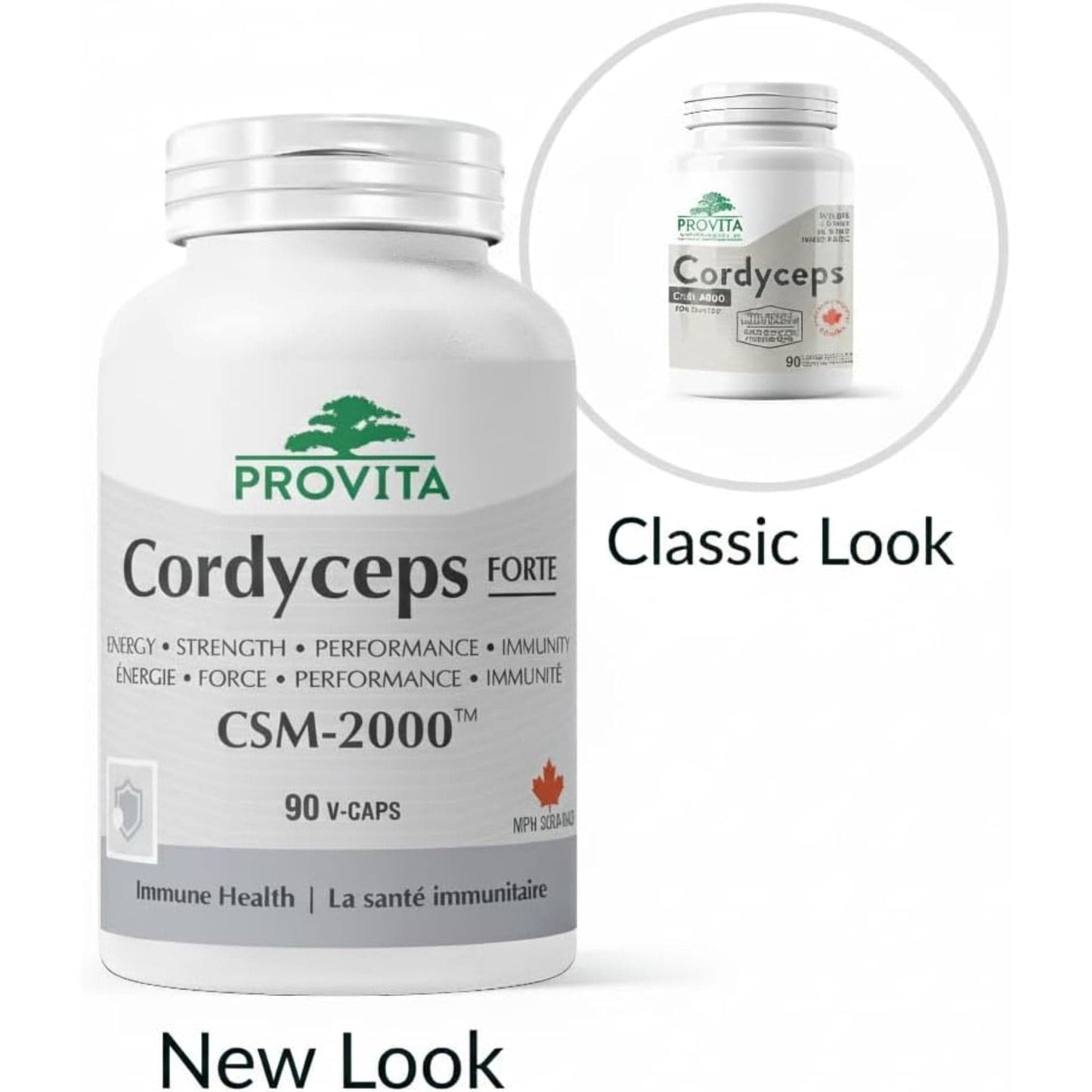 90 Vegetable Capsules | Provita Nutrition COrdyceps Forte CSM-2000