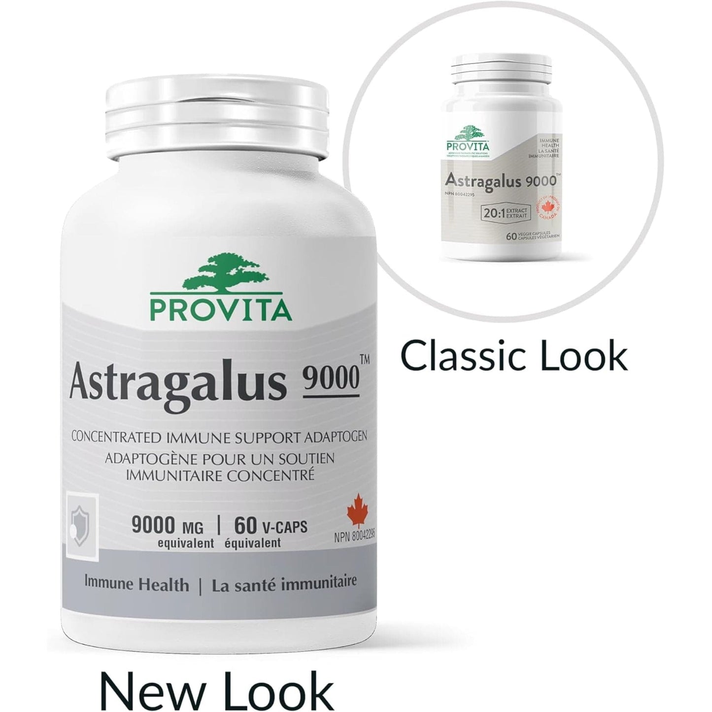 60 Vegetable Capsules | Provita Nutrition Astralagus 9000 mg