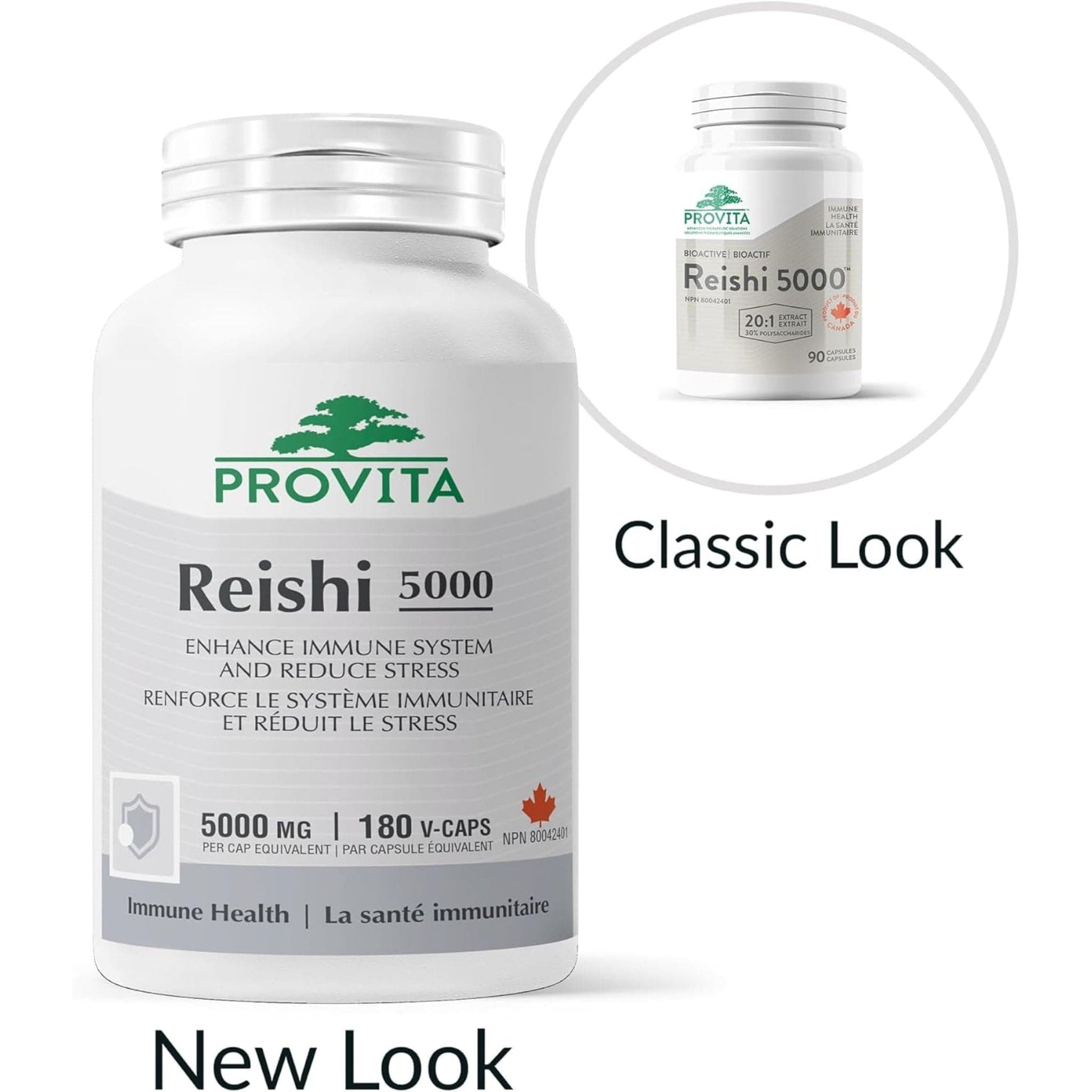 180 Cpasules | Provita Reishi 5000