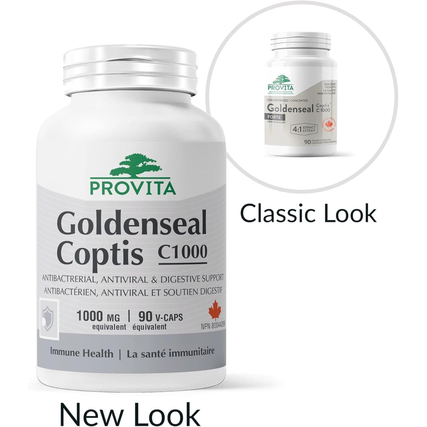 90 Vegetable Capsules | Provita Nutrition Goldenseal Coptis C1000