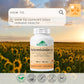 30 Vegetable Capsules | Provita Nutrition Artemisinin Forte 100 mg