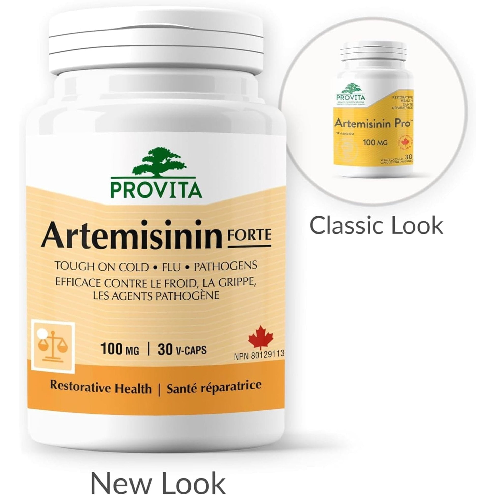 30 Vegetable Capsules | Provita Nutrition Artemisinin Forte 100 mg