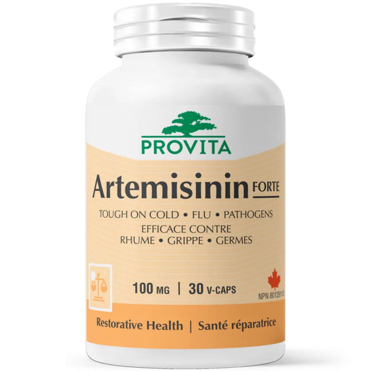 30 Vegetable Capsules | Provita Nutrition Artemisinin Forte 100 mg