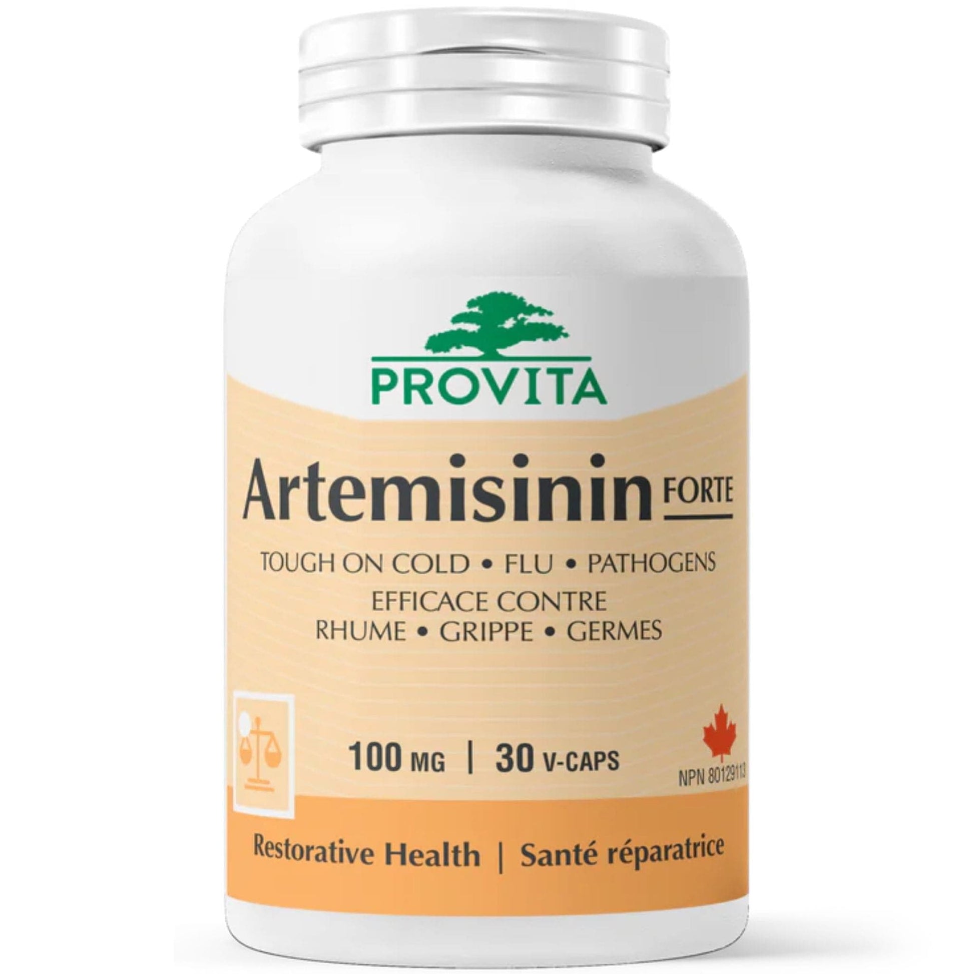 30 Vegetable Capsules | Provita Nutrition Artemisinin Forte 100 mg