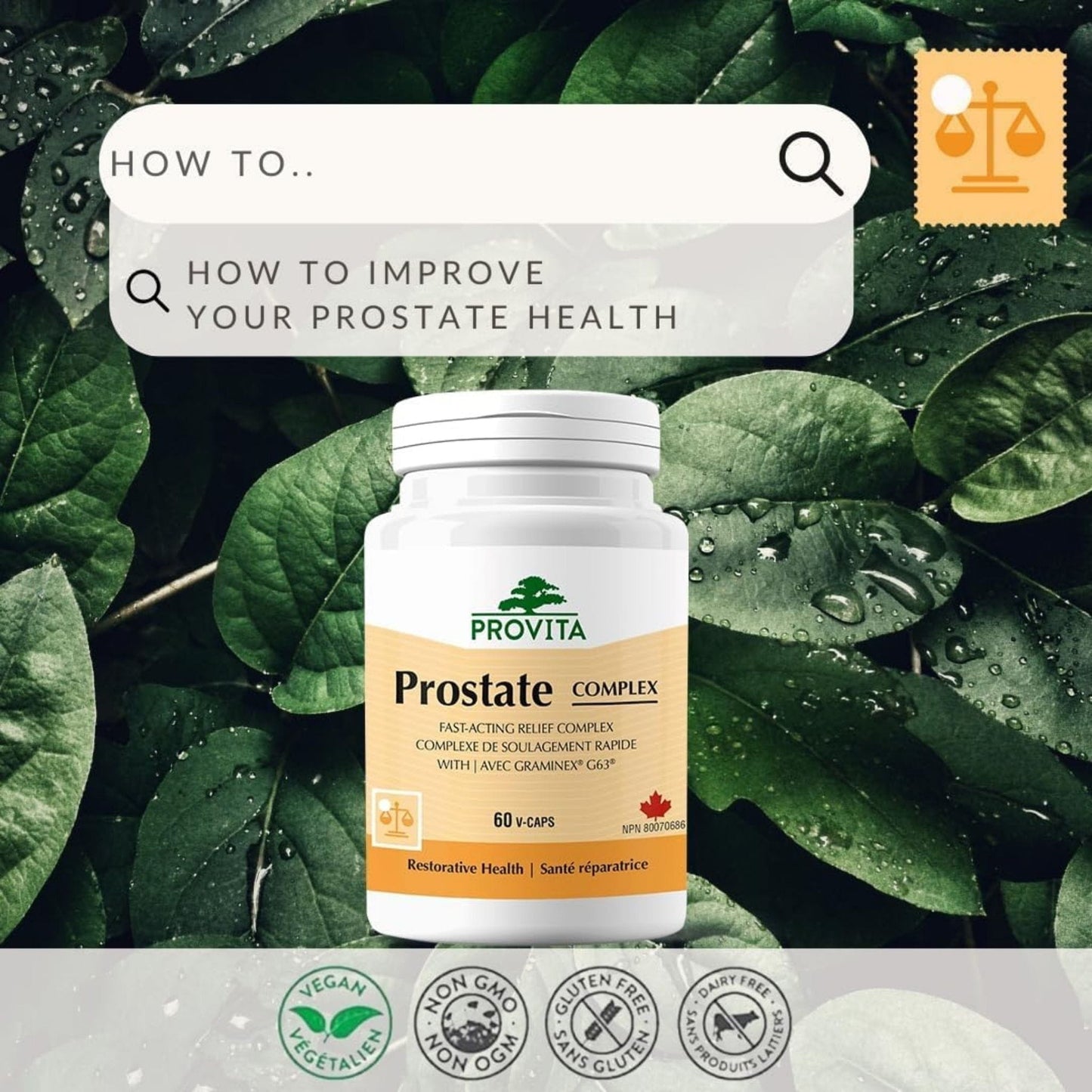 60 Vegetable Capsules | Provita Prostate Complex