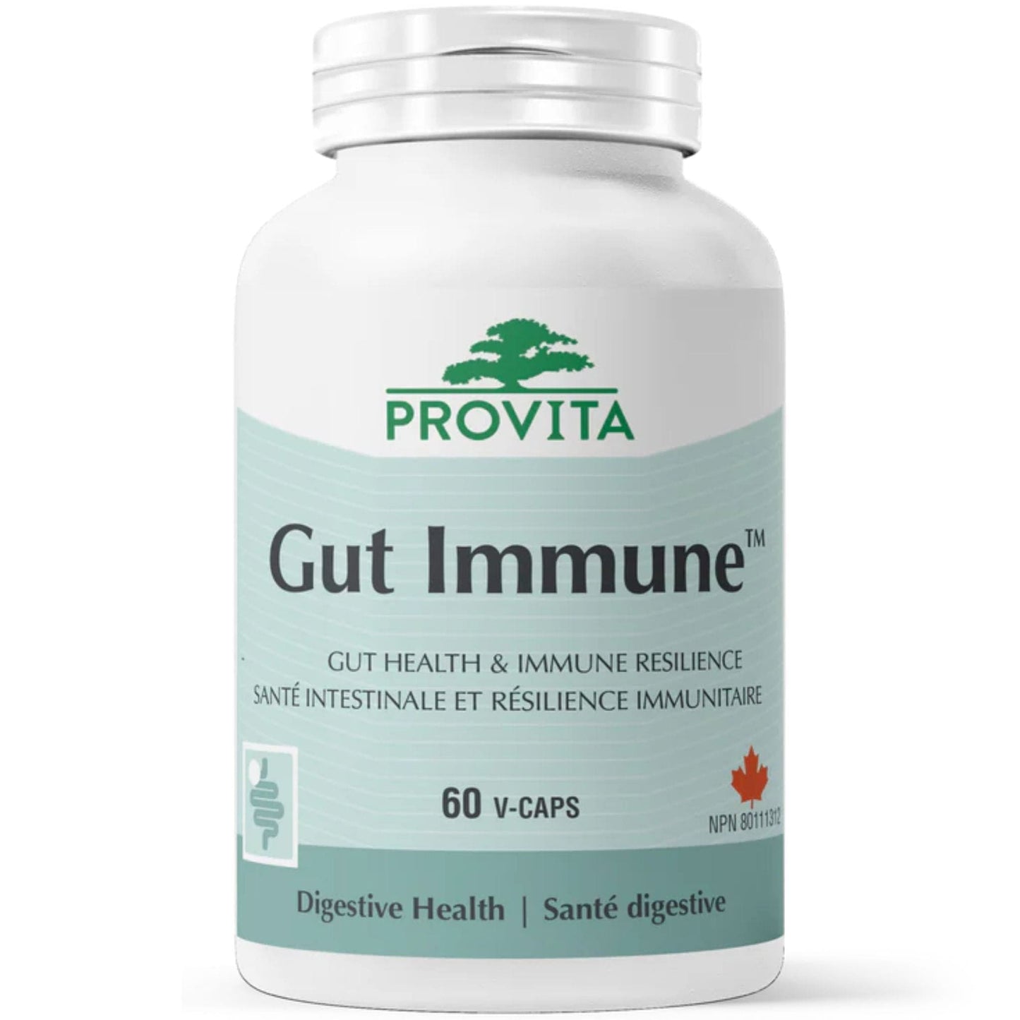 60 Vegetable Capsules | Provita Gut Immune