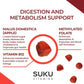 Natural Apple Flavour, 60 Gummies | Suku Vitamins Appley Ever After (Apple Cider Vinegar Gummies with Mother)