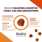 Peach Berry Flavour, 60 Gummies | Suku Vitamins Debloat