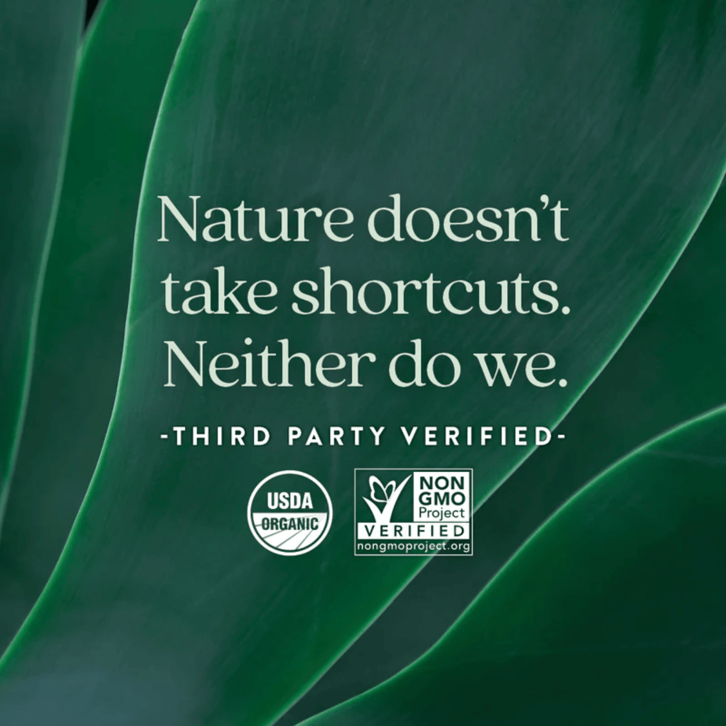 60 Gummies Citrus Berry | New Chapter Organic Fiber Gummies