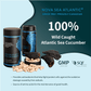 60 Capsules | Nova Sea Atlantic Sea Cucumber 500mg