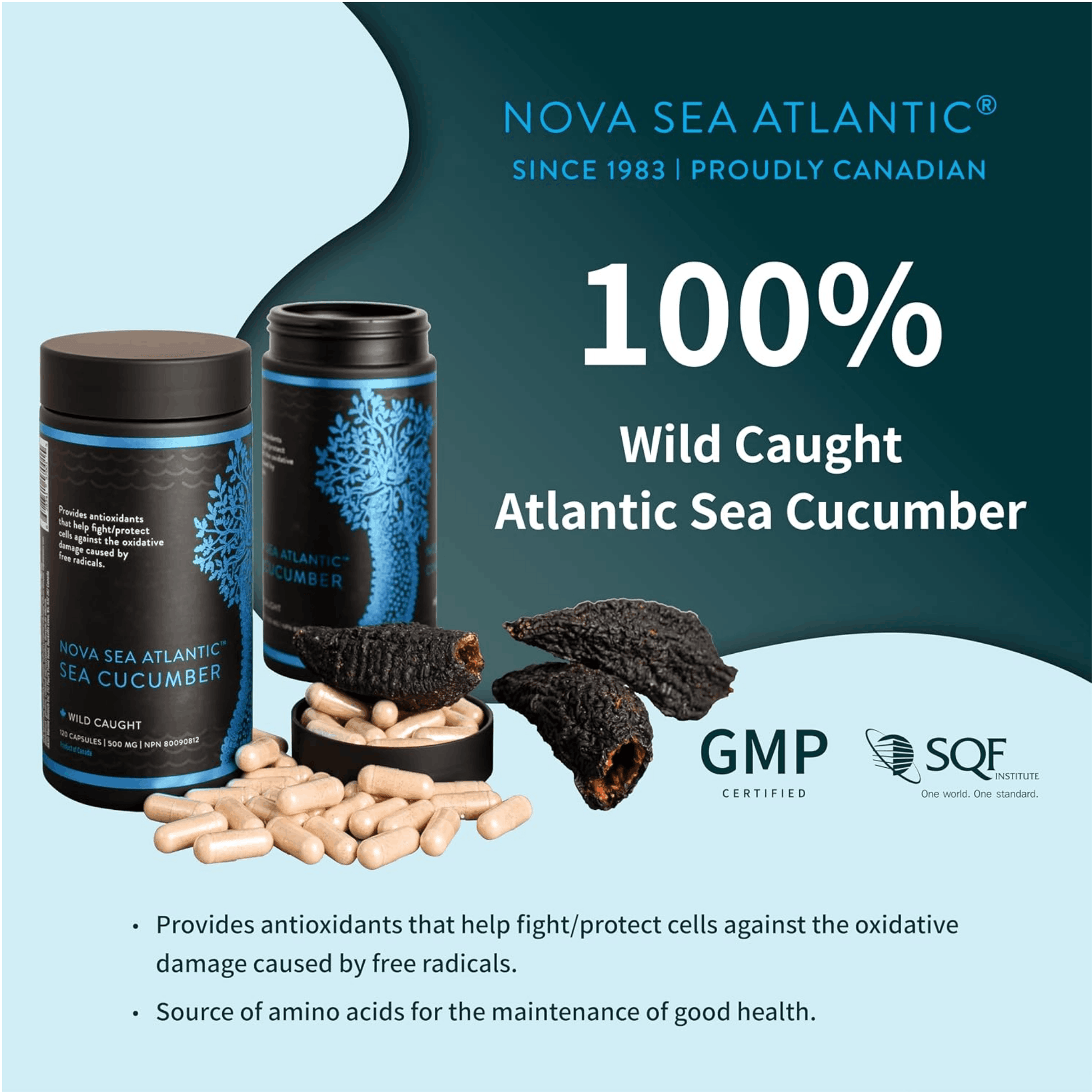 60 Capsules | Nova Sea Atlantic Sea Cucumber 500mg