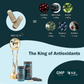 60 Capsules | Nova Sea Atlantic Sea Cucumber 500mg