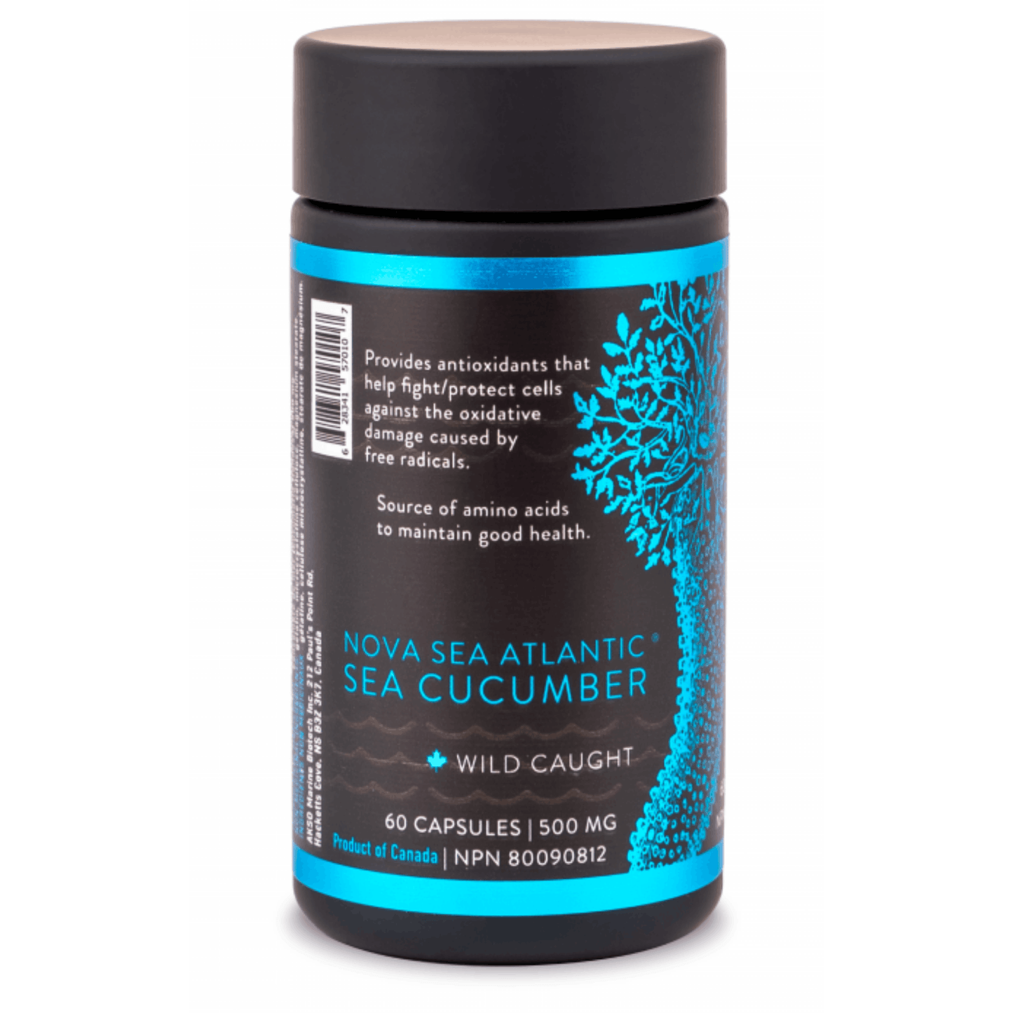 60 Capsules | Nova Sea Atlantic Sea Cucumber 500mg