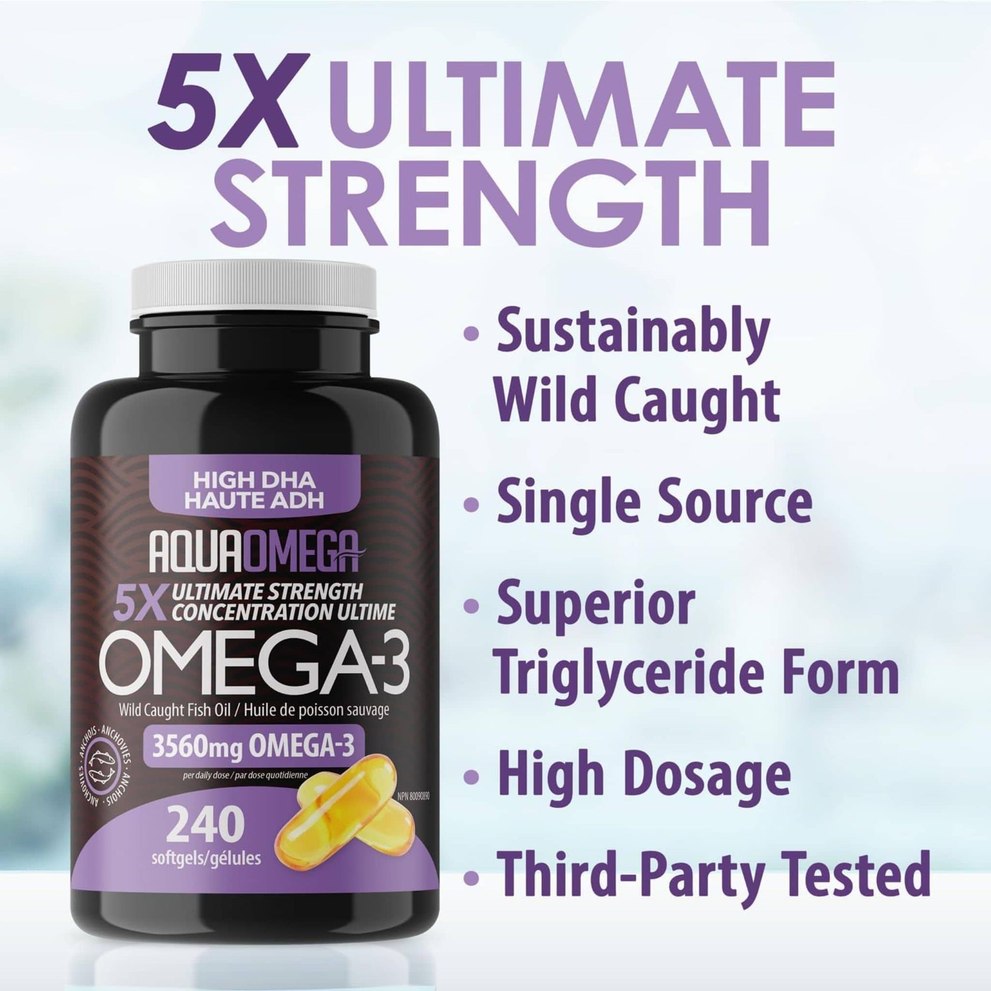 240 Softgels | AquaOmega High DHA Omega 3 Fish Oil, 3X Extra Strength Fish Oil Softgels