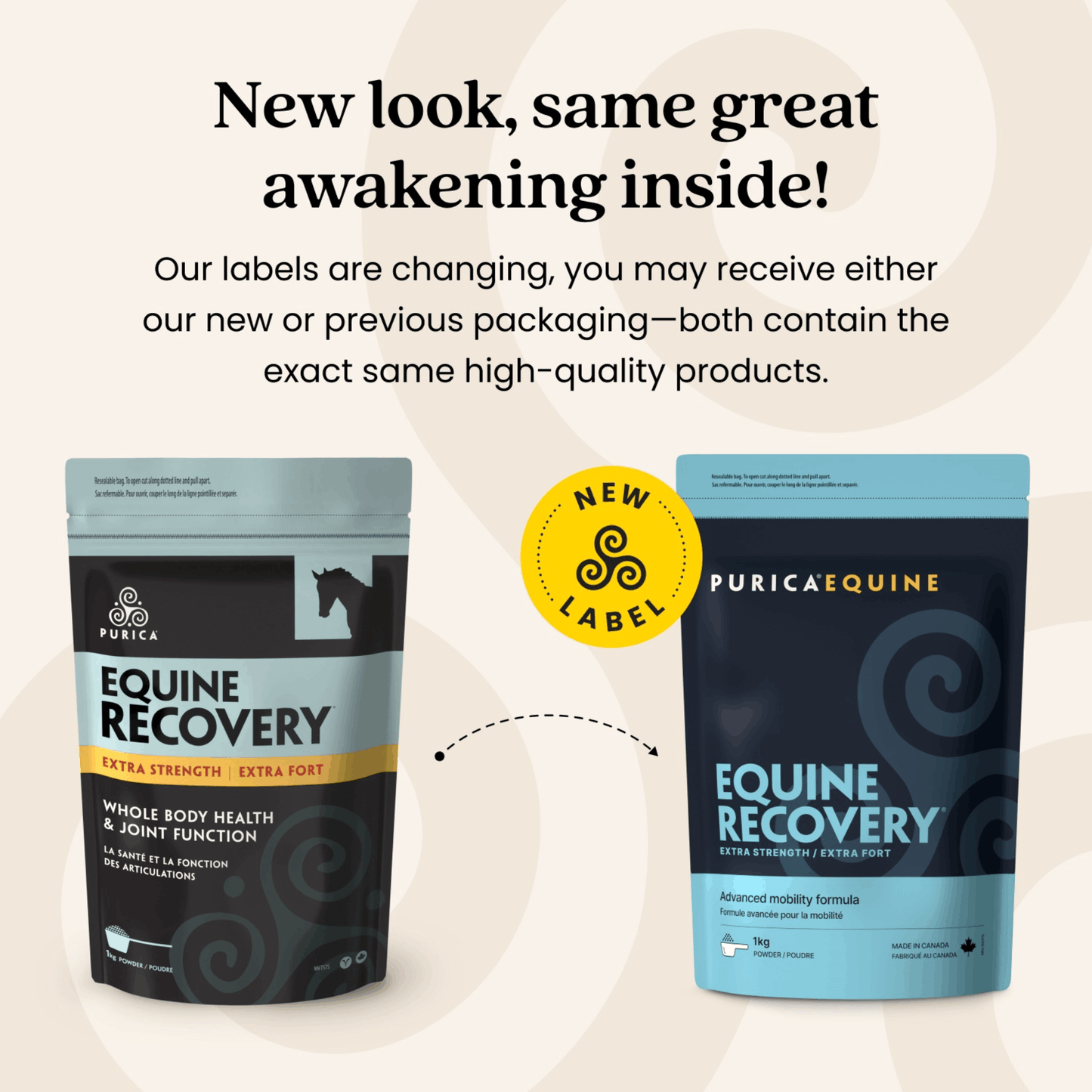 1kg | Purica Equine Recovery Powder
