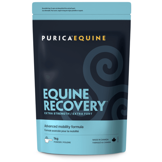 1kg | Purica Equine Recovery Powder